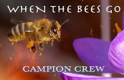 "When the Bees Go" - Uma canção