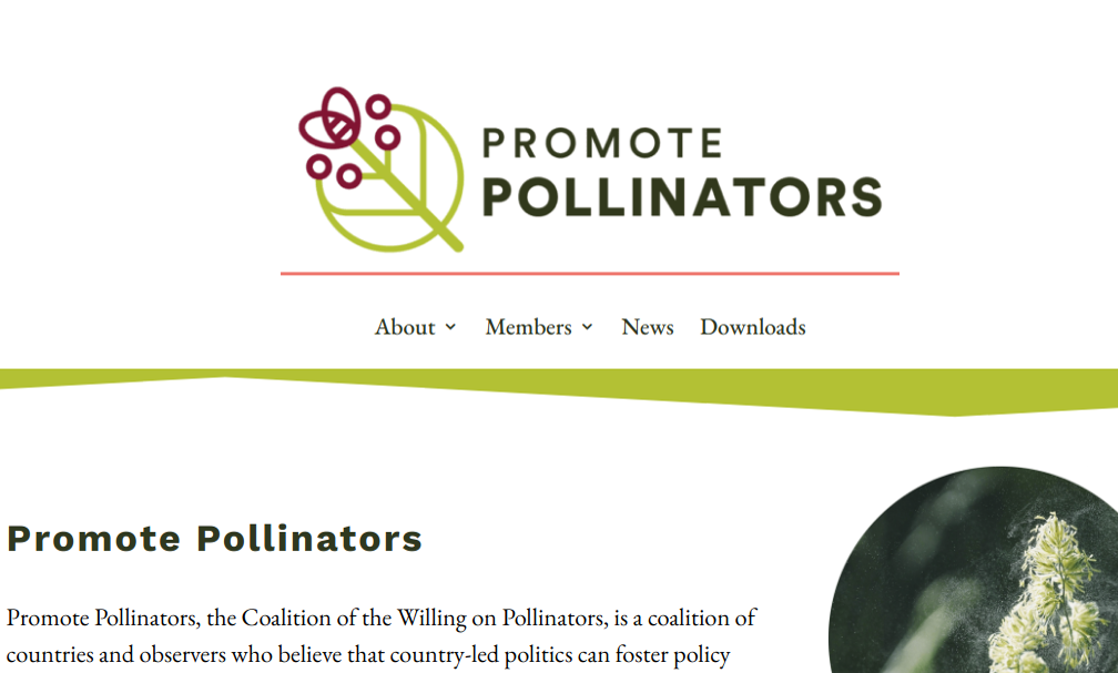 Promote Polinators website